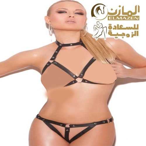 لانجيرى تنكرى هارنيس 301