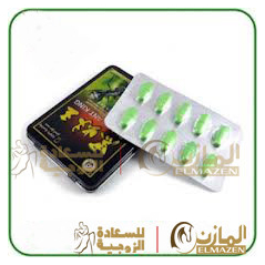 اقراص _ملك _النمل _مصر