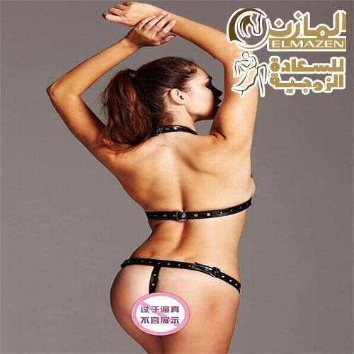 لانجيرى تنكرى هارنيس 303