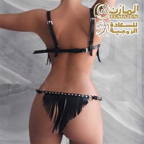 لانجرى تنكرى هارنيس 312