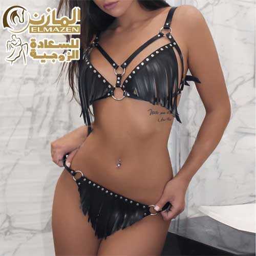 لانجرى تنكرى هارنيس 312