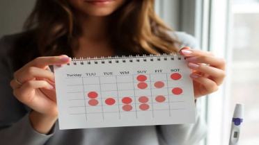 هل يمكن الحمل بعد الدورة مباشرة؟