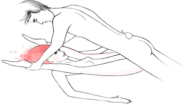 وضعية محارة فيينا الجنسية